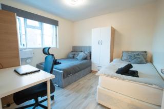 Excel & City Airport Cozy 2BR with Workspace Near DLR - London - 2