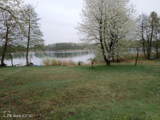 2 FeWo direkt am See Mecklenburg Kleinseenplatte - Wutschendorf - 4