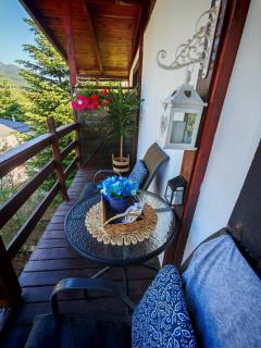 Vila Iulia Busteni - Buşteni - 9