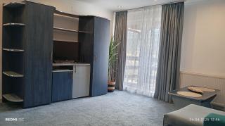 Vila Iulia Busteni - Buşteni - 8