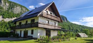 Apartments Kolačko - Bohinj - 9