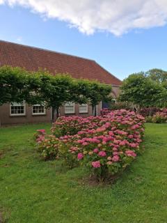 Pauwenhof - Klaaswaal - 3