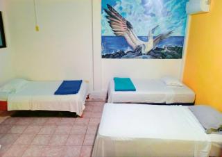 Hostal Puerto Ayora - Puerto Ayora - 7