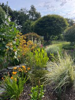 Studio GîTE COSY sur Jardin - 9