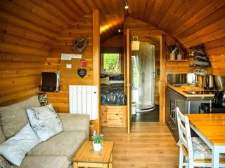 1 Bed in Llandrindod Wells 88204 - Llandegley - 8