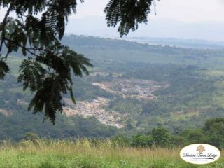 Dwaleni Farm Lodge - Manzini - 7