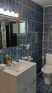 Vila Iulia Busteni - Buşteni - 7