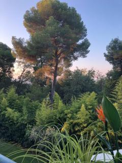 3P, Cannes, Domaine securise, Piscine, Tennis, Golf, 3 Etoiles - Cannes - 9