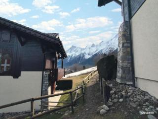 Résidence Les Hauts De Chavants - Hauts de Chavants Bellachat 1 MAE-7730 - Les Houches - 1