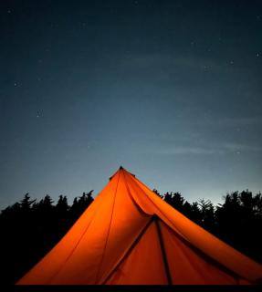 Brambles bell tent - Brading - 3