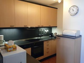 apartement lipno nad vltavou pro 4 až 6 osob - Lipno nad Vltavou - 4