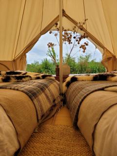 Tylda Tents at Heydaze Campsite - 5m Luxury Bell Tent "Beaver" - Lostwithiel - 1
