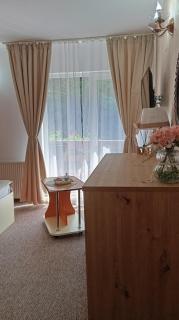 Vila Iulia Busteni - Buşteni - 3
