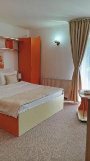Vila Iulia Busteni - Buşteni - 2