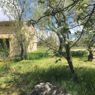 Le Mas de Loume - Sault-de-Vaucluse - 5