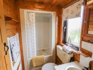 Holly Lodge - Saltburn-by-the-Sea - 5