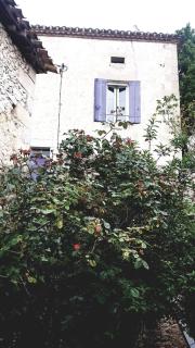 Les Gîtes du Hameau avec piscine - Castelnau-sur-Gupie - 5