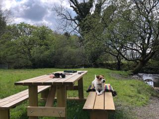 Ty Neuadd - Dolgellau - 1
