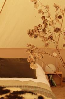Mallard - Extra Large 6m Luxury Bell Tent at Tregonetha Lake - Tylda Tents - 5