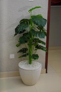 White Cottage Suites - 3