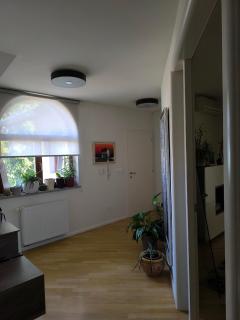 Penthouse Villa Ljubljana - Šentvid - 9