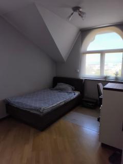 Penthouse Villa Ljubljana - Šentvid - 2
