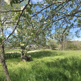 Le Mas de Loume - Sault - 3