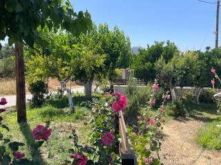 Aquarius View - Archipolis - 8