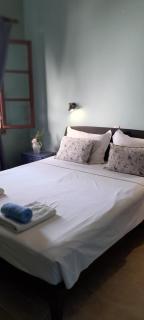PARACHOS Trulos beach accomodation 500 metres from the sea - Skiathos-Stadt - 9