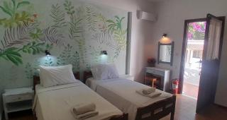 PARACHOS Trulos beach accomodation 500 metres from the sea - Skiathos-Stadt - 5