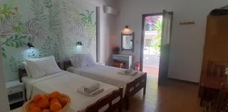 PARACHOS Trulos beach accomodation 500 metres from the sea - Skiathos-Stadt - 3