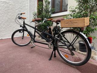 Les fauvettes - Centre ville - 3