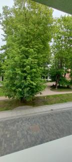 Senamiesčio butas - Klaipeda - 9