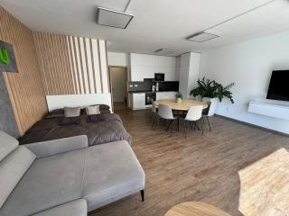 PeopleGuru apartments - Jihlava - 0