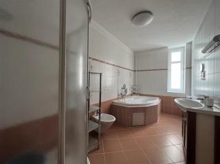 Apartment Ivana - free parking - Karlovy Vary - 9