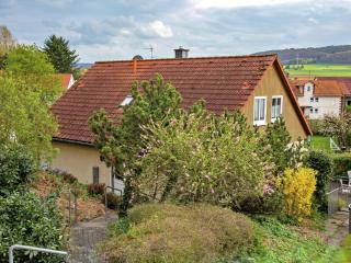 Large detached holiday home in Hesse with private garden and terrace - Homberg - 7