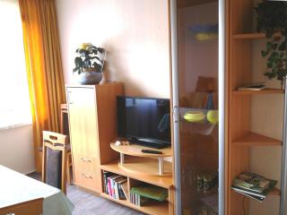 Holiday Home in Thuringian Forest near Lake - Schleusingen - 2