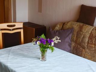 Holiday Home in Thuringian Forest near Lake - Schleusingen - 1