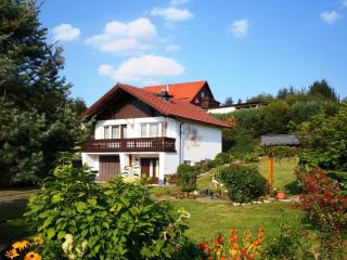 Holiday Home in Thuringian Forest near Lake - Schleusingen - 4
