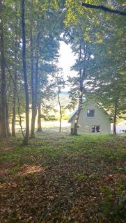 Forest Panorama Cabin Brezna - 9
