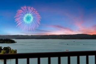 Chill on the Hill with Lake Views - Branson - 4