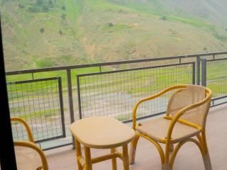 Serene Resorts Naran - Naran - 2