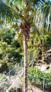 Bayview Luxury Retreats - Montego Bay - 2