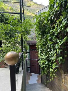 Magical forest House in the center of old City - 8