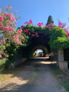 Su Giardinu - 9