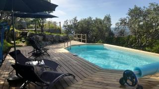 L'Olivaie - Calme, confort et vue imprenable - Seillans - 9