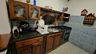 The olive tree - 2