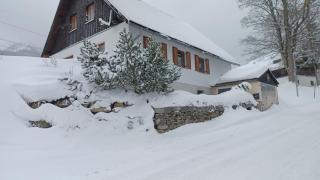 Alpine idyll - Vordernberg - 9
