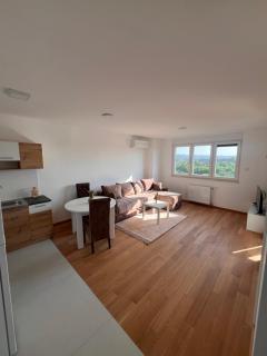 Apartments Nenad - Novi Sad - 4