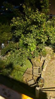 Jc 15 - San-Martino-di-Lota - 8